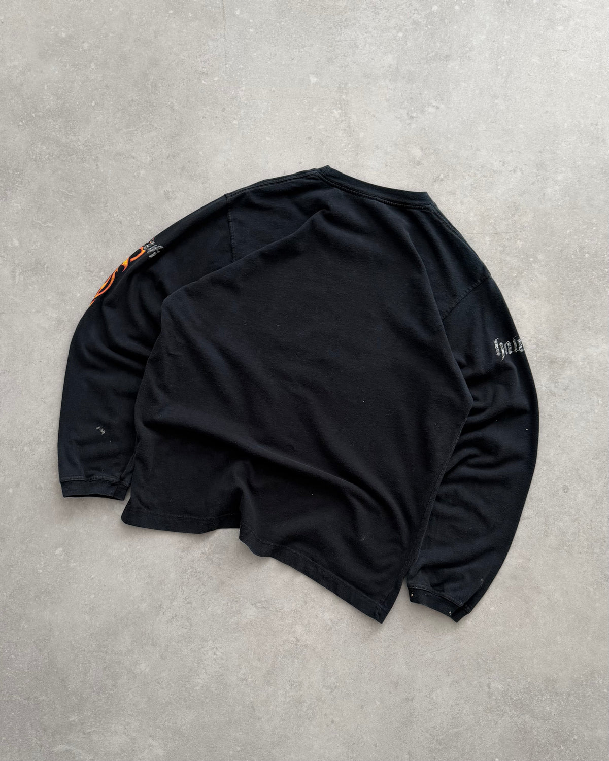 Vintage Hawk Long Sleeve T-shirt (S)