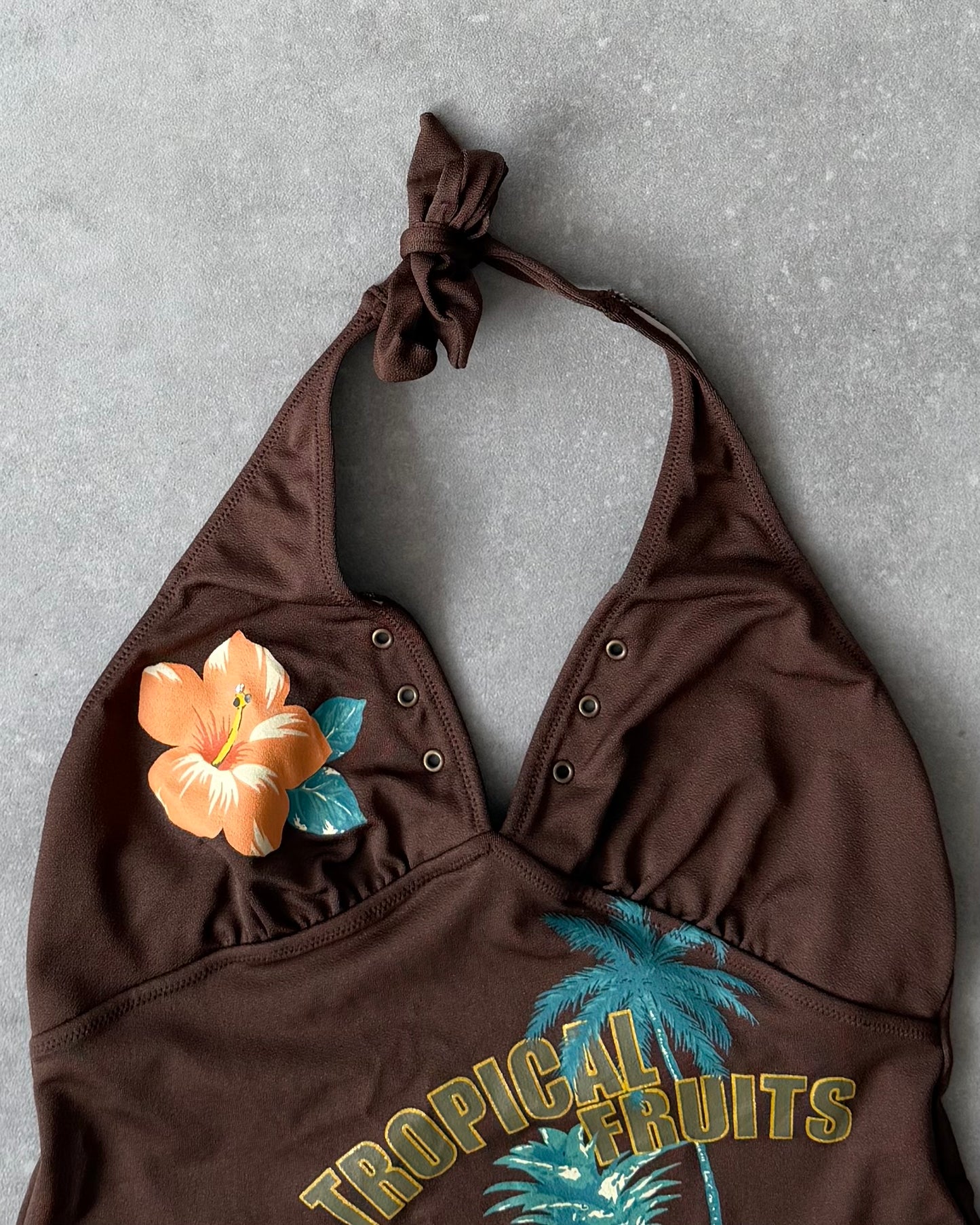 Y2K Women’s TanKini Halter Top (L)