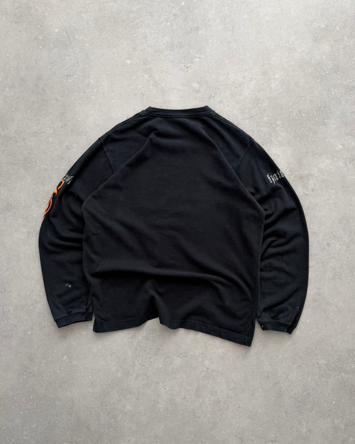Vintage Hawk Long Sleeve T-shirt (S)